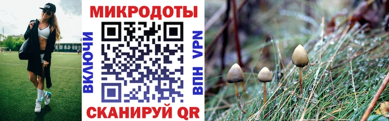 Галлюциногенные грибы Magic Shrooms  магазин продажи наркотиков  Невьянск 